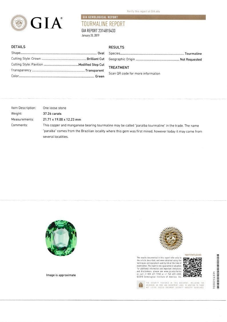 Paraiba Tourmaline 30.97 ct