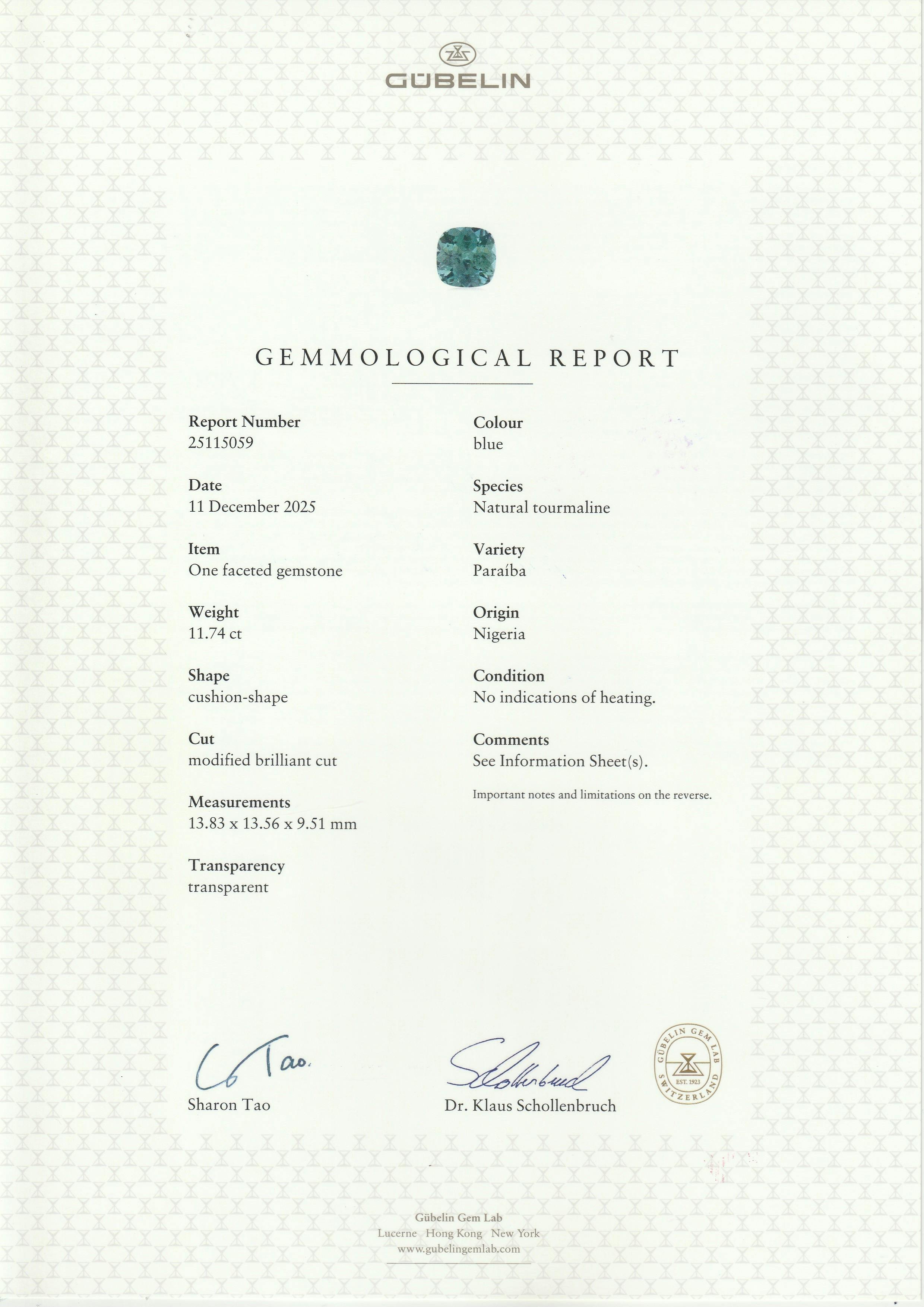 Paraiba Tourmaline 11.74 ct