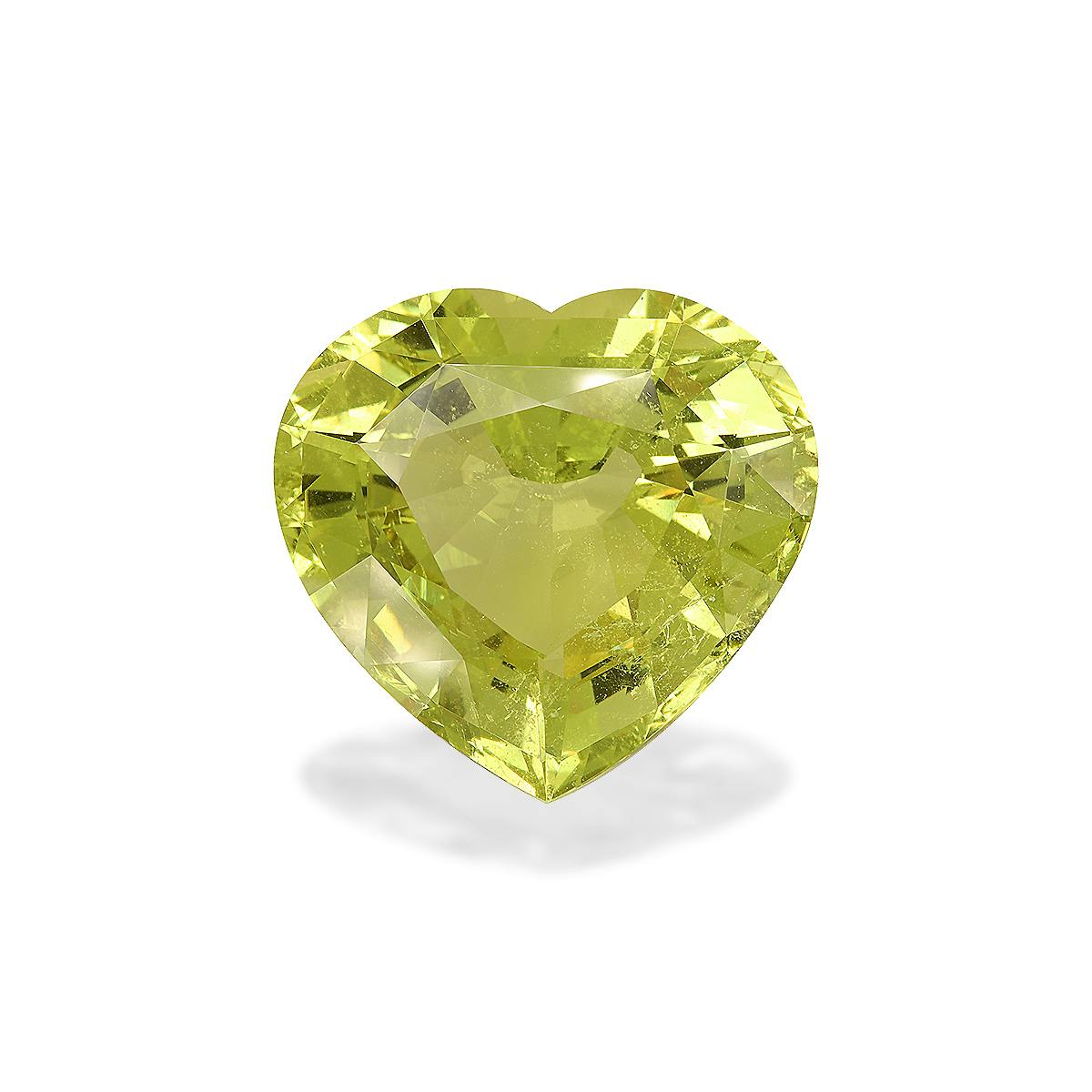 Beryl 141.63 ct