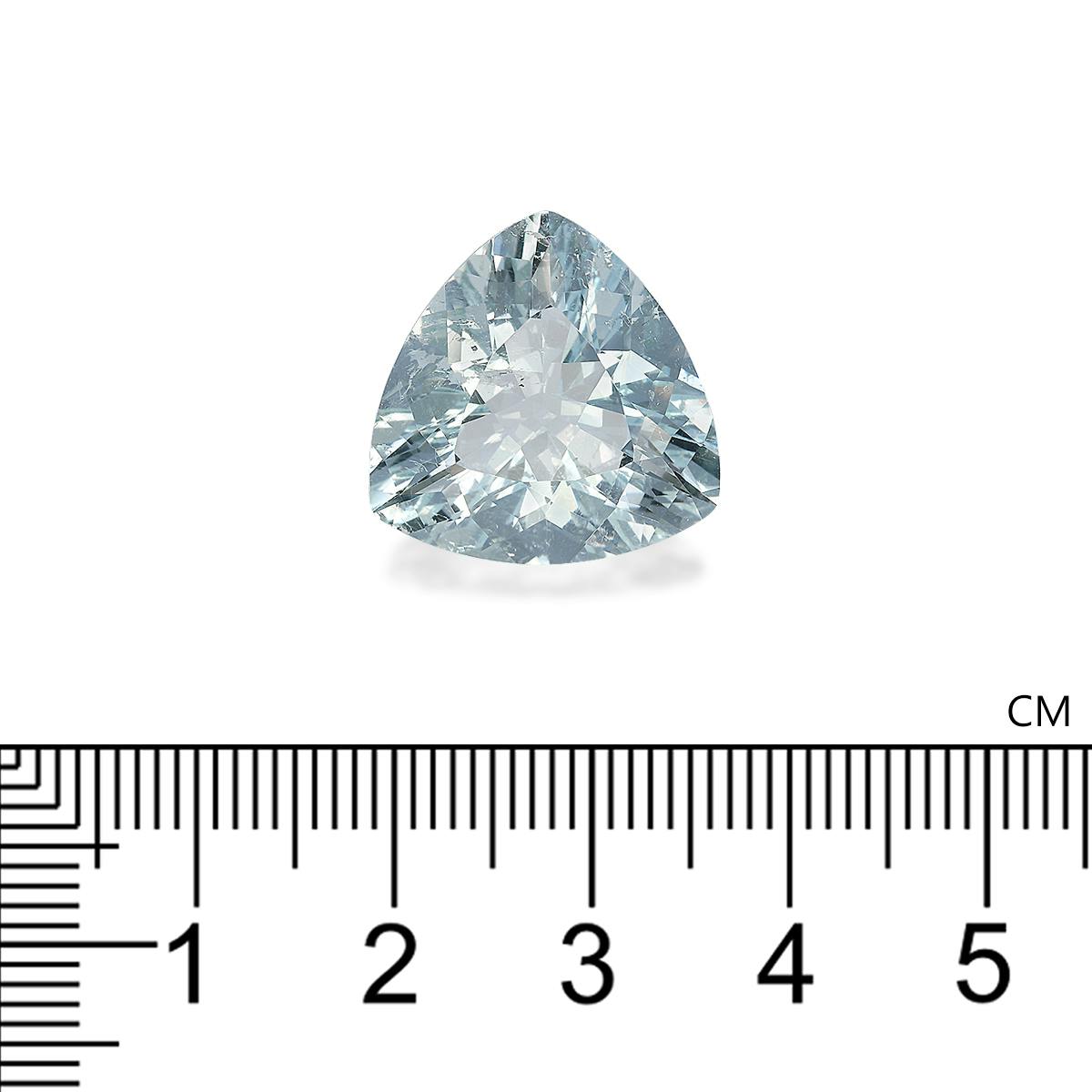 Aquamarine 13.72 ct