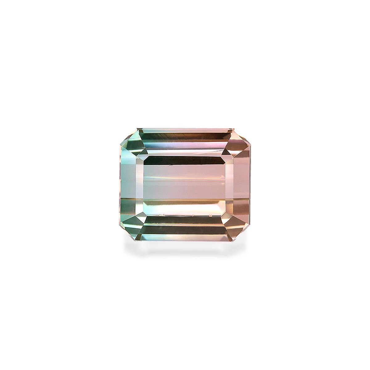 Bi Colour Tourmaline 26.04 ct
