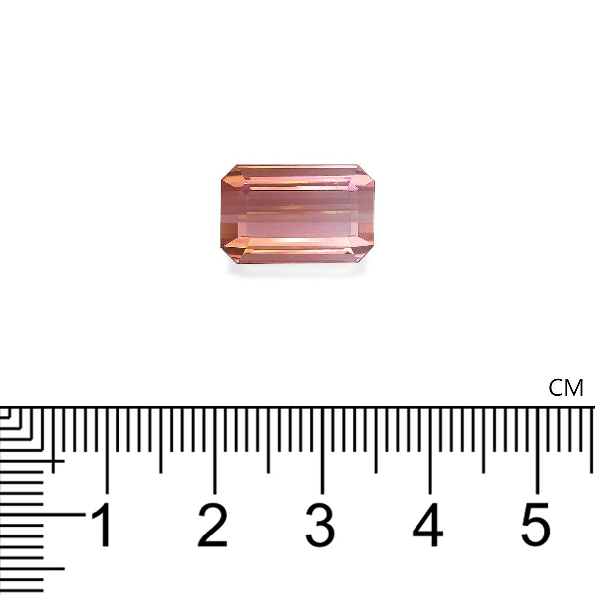 Bi Colour Tourmaline 8.52 ct