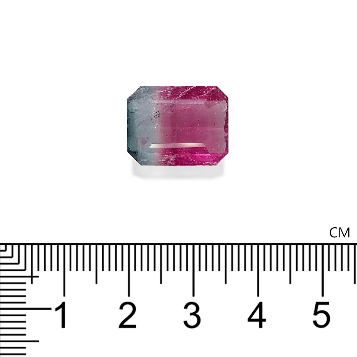 Bi Colour Tourmaline 9.64 ct