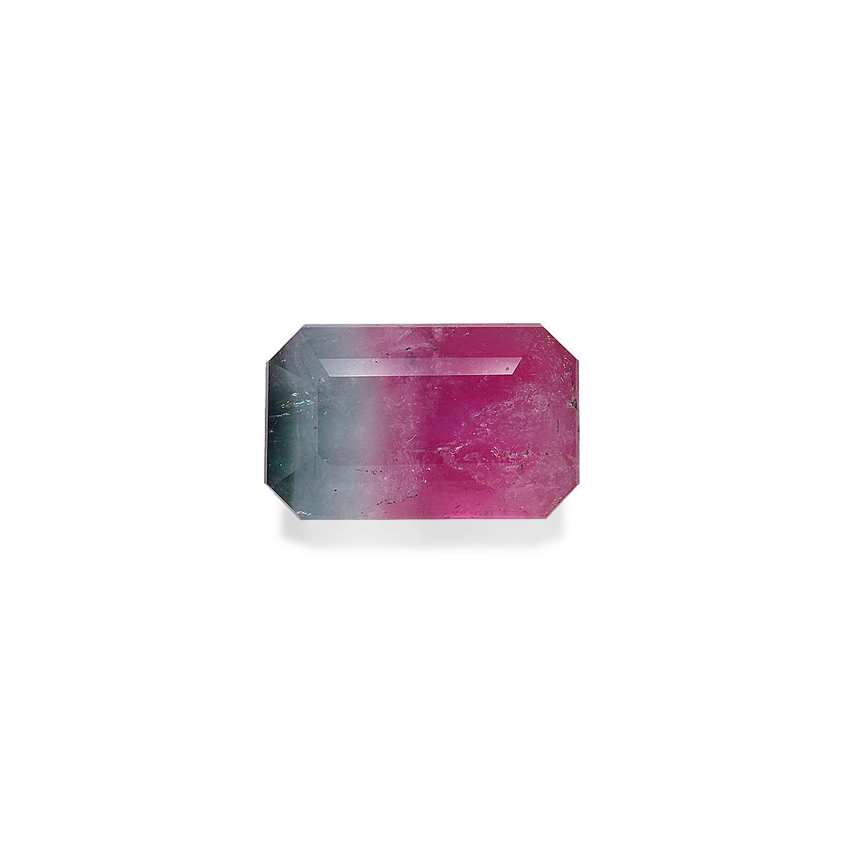 Bi Colour Tourmaline 9.38 ct