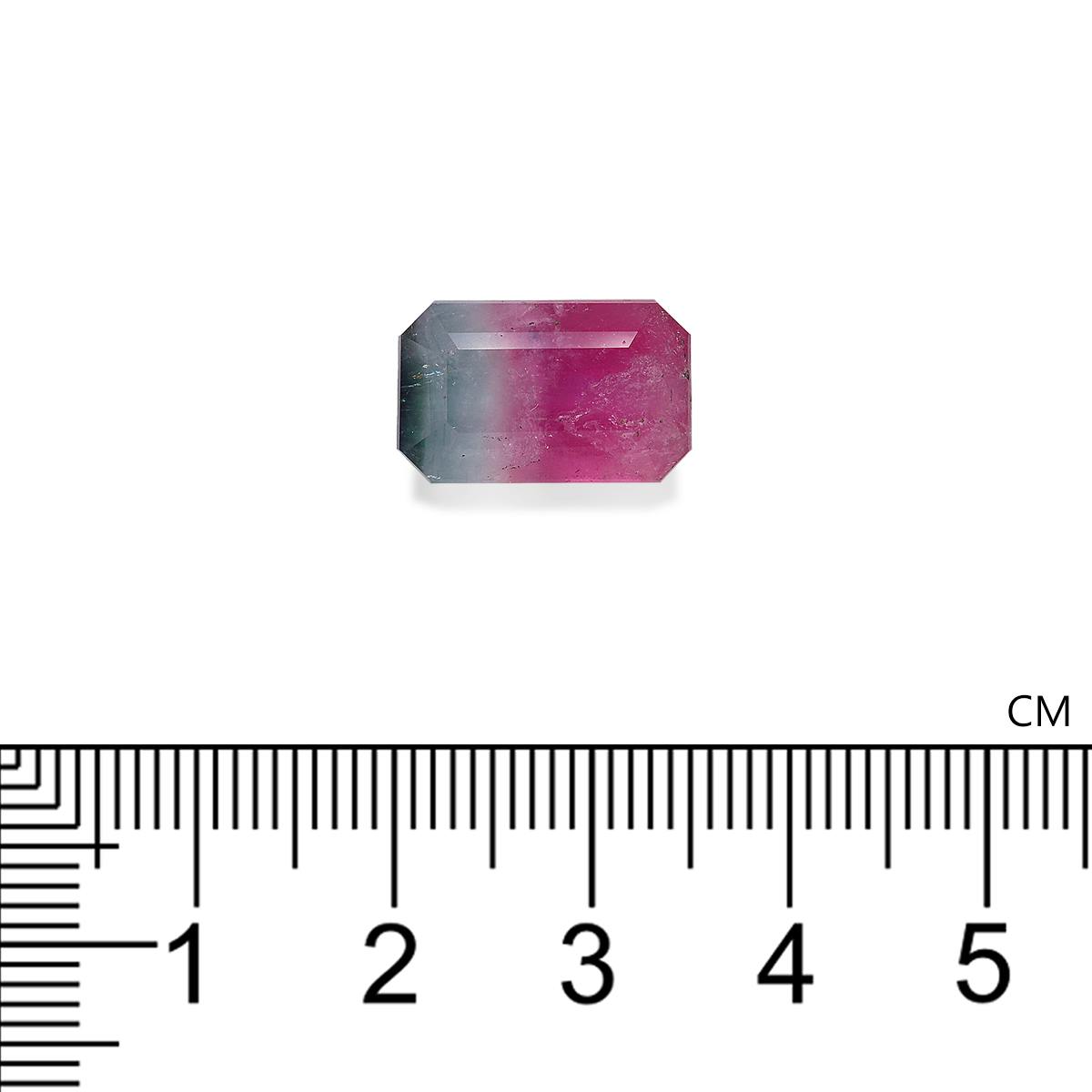 Bi Colour Tourmaline 9.38 ct