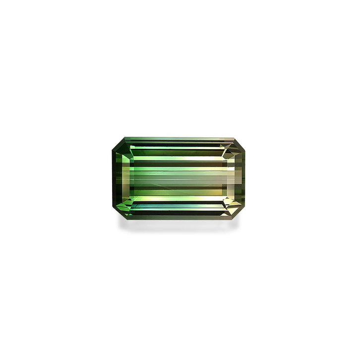 Bi Colour Tourmaline 23.83 ct