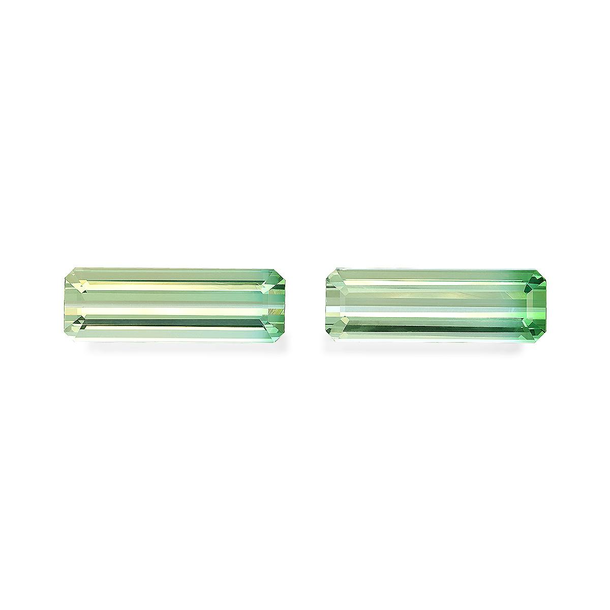 Bi Colour Tourmaline 23.50 ct