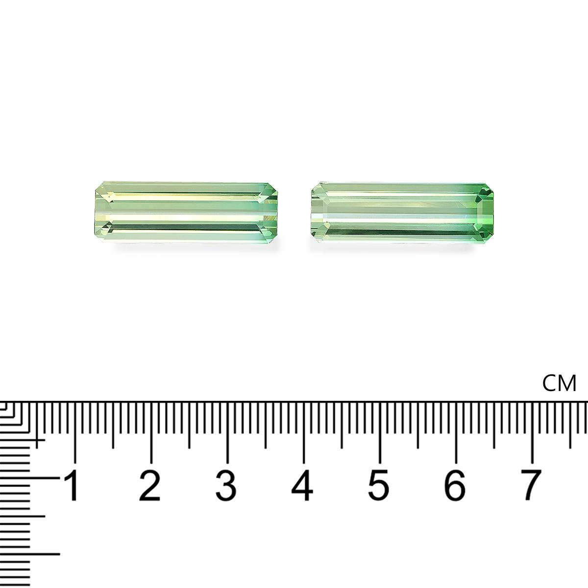 Bi Colour Tourmaline 23.50 ct