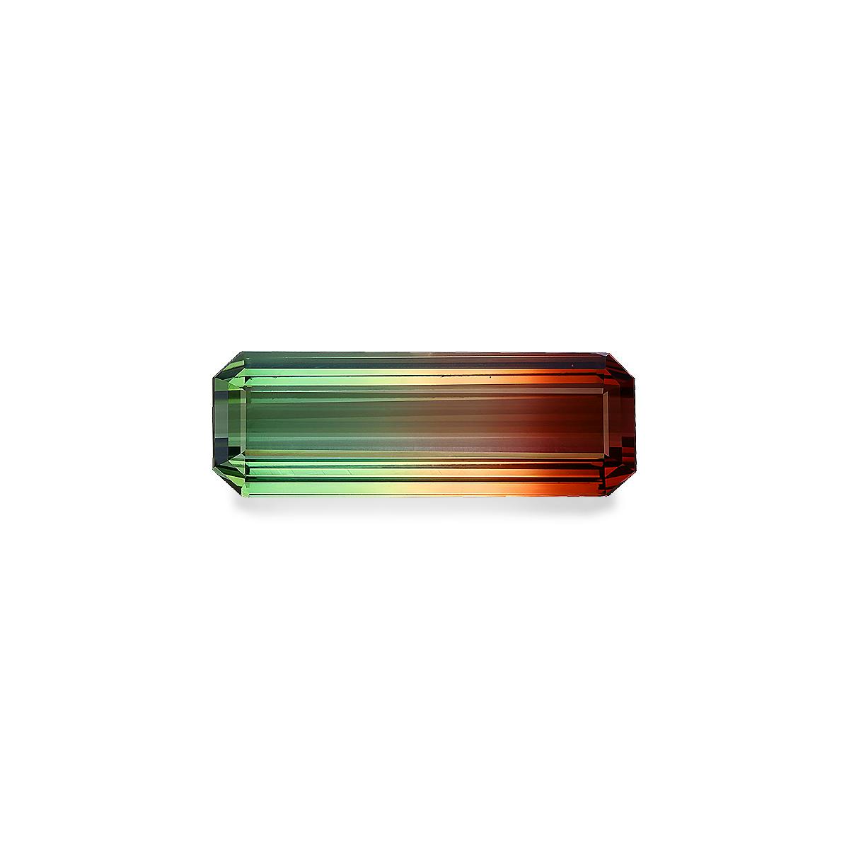 Bi Colour Tourmaline 52.90 ct