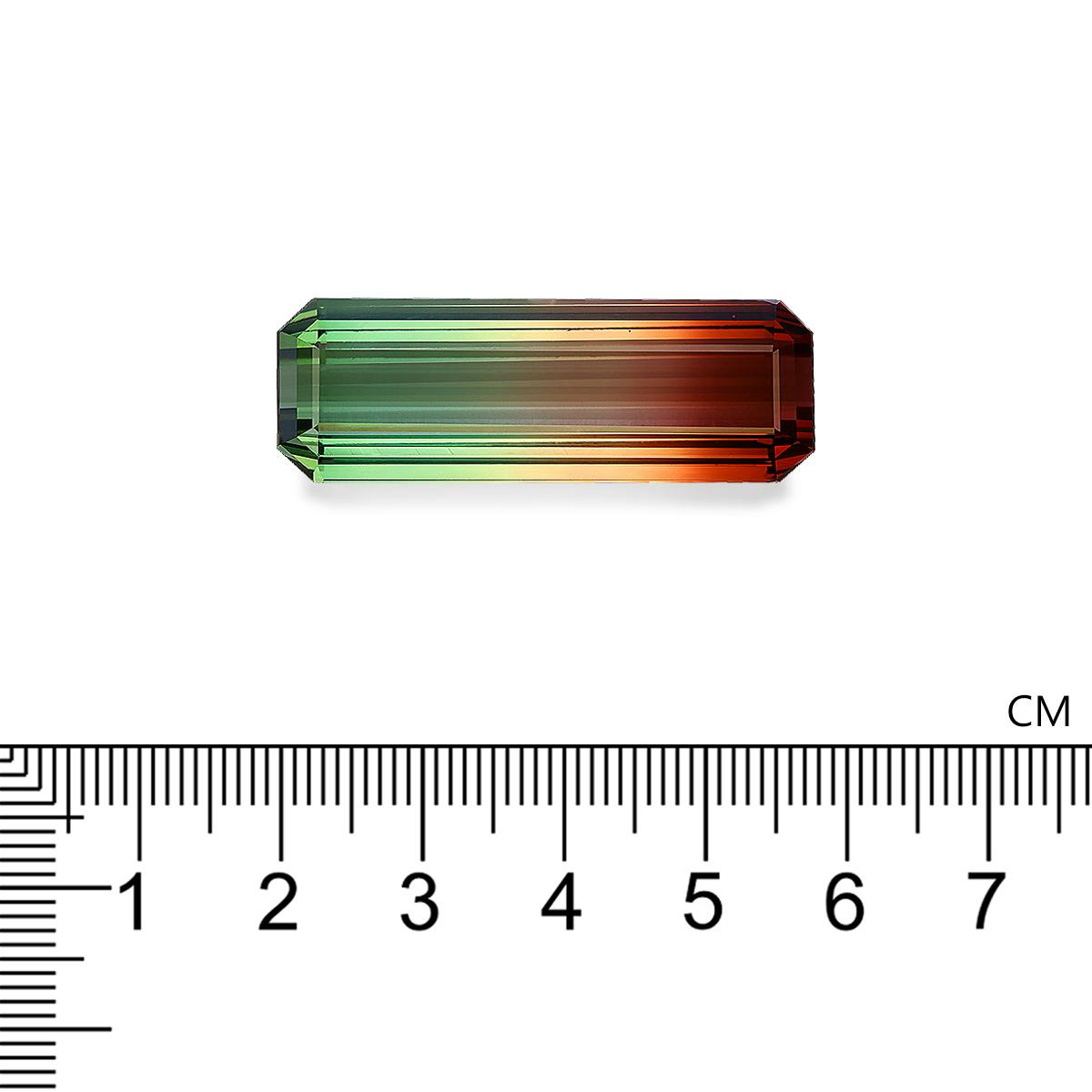 Bi Colour Tourmaline 52.90 ct