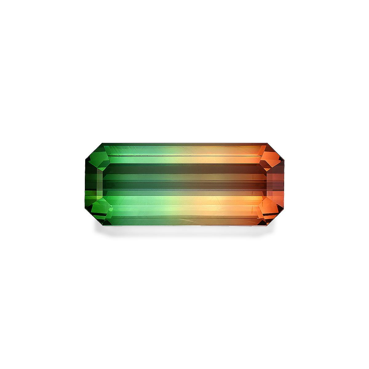Bi Colour Tourmaline 78.67 ct