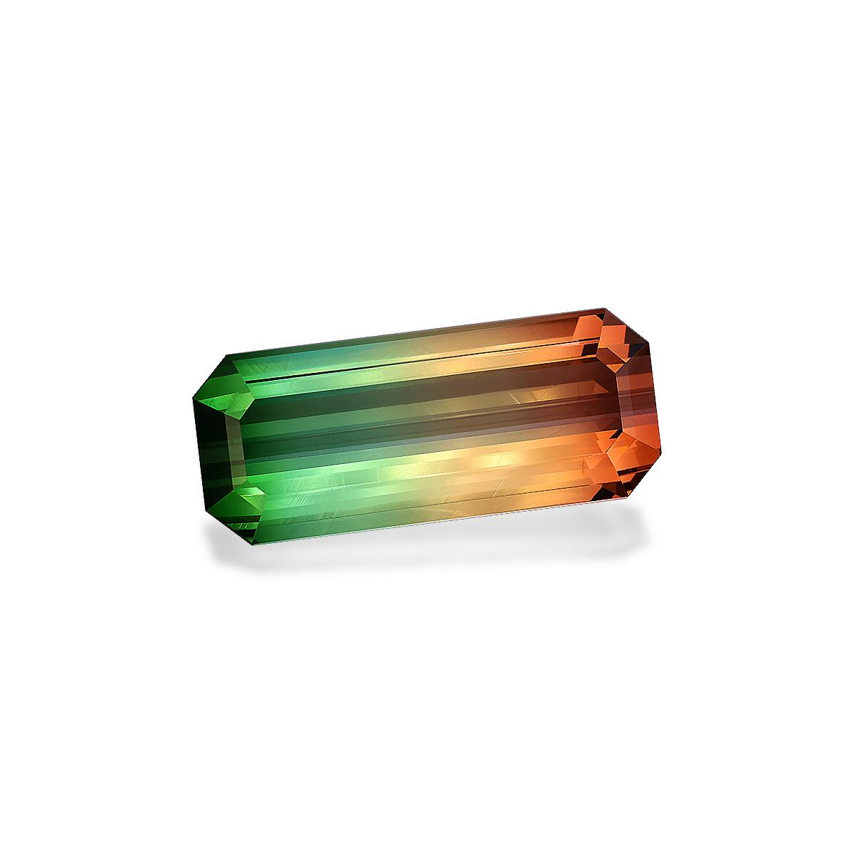 Bi Colour Tourmaline 78.67 ct