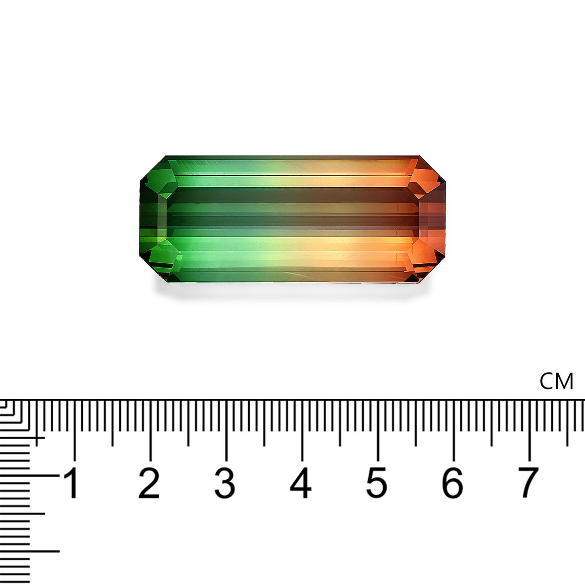 Bi Colour Tourmaline 78.67 ct