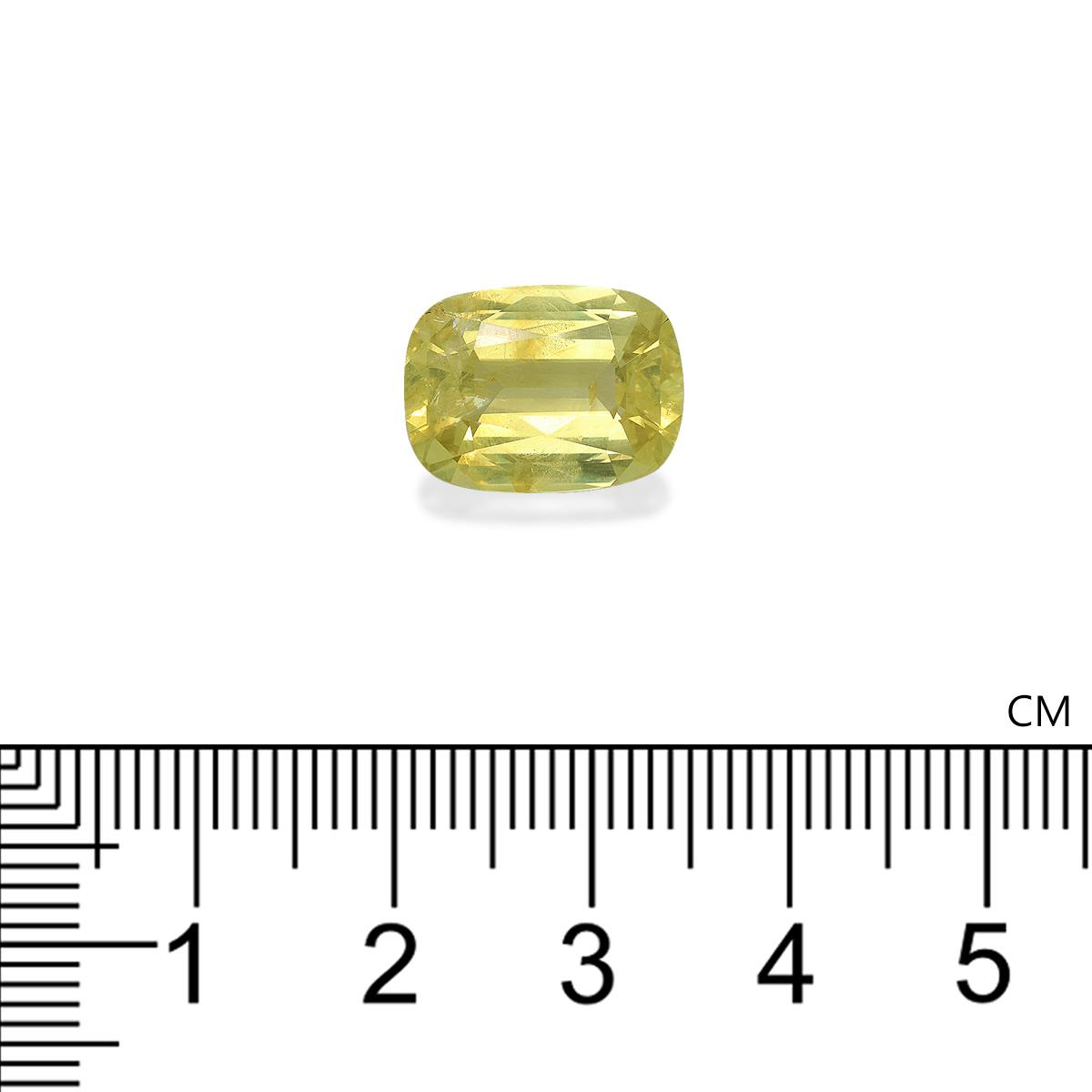 Chrysoberyl 7.55 ct