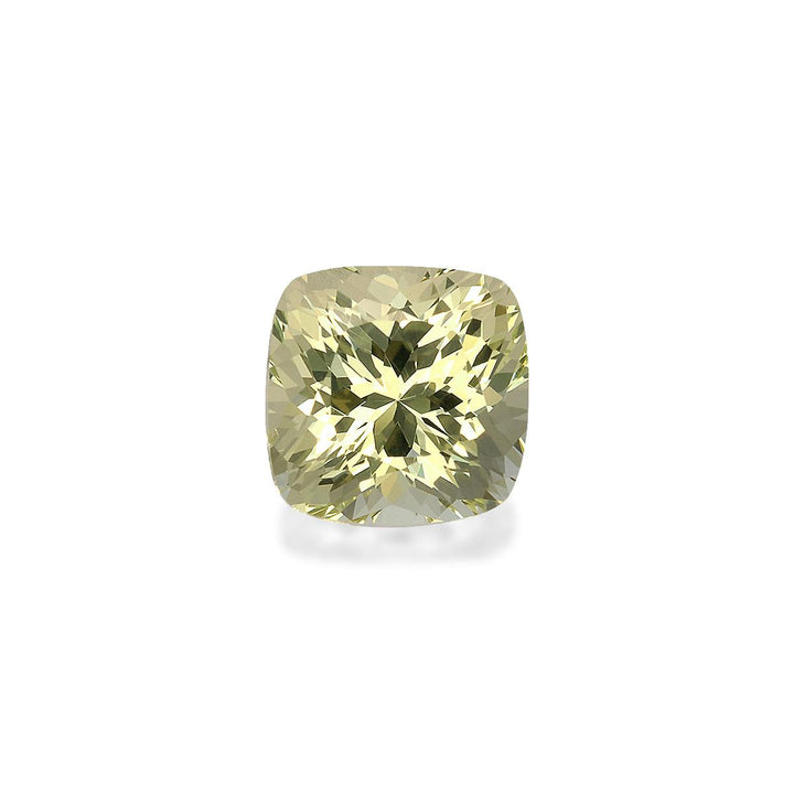 Grossular Garnet 2.65 ct
