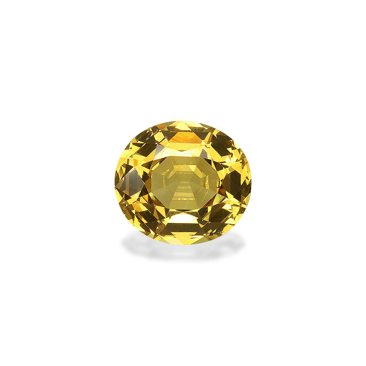 Grossular Garnet 8.76 ct