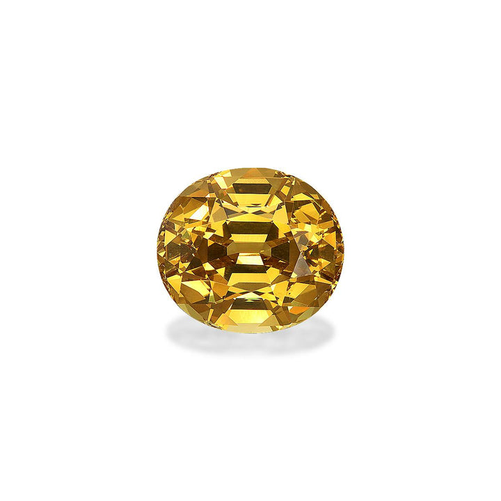 Grossular Garnet 9.25 ct