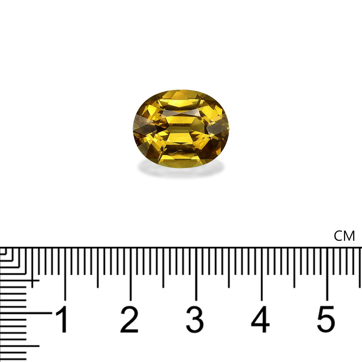 Grossular Garnet 9.98 ct