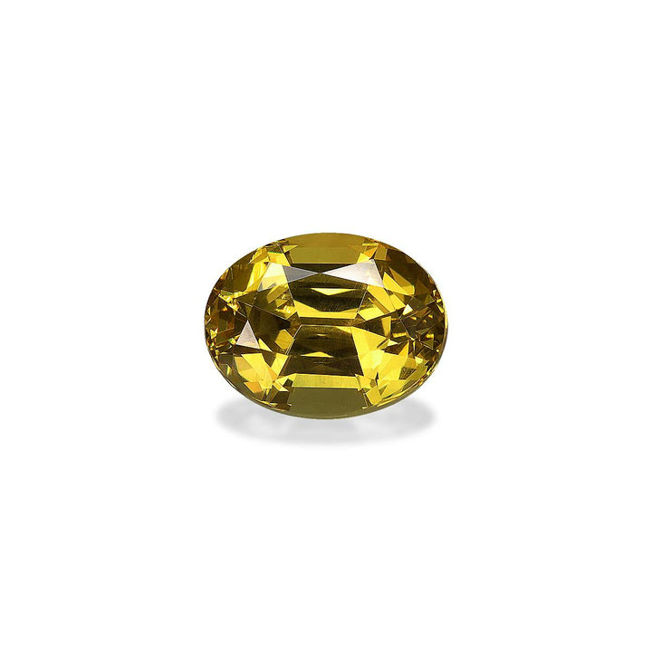 Grossular Garnet 5.06 ct