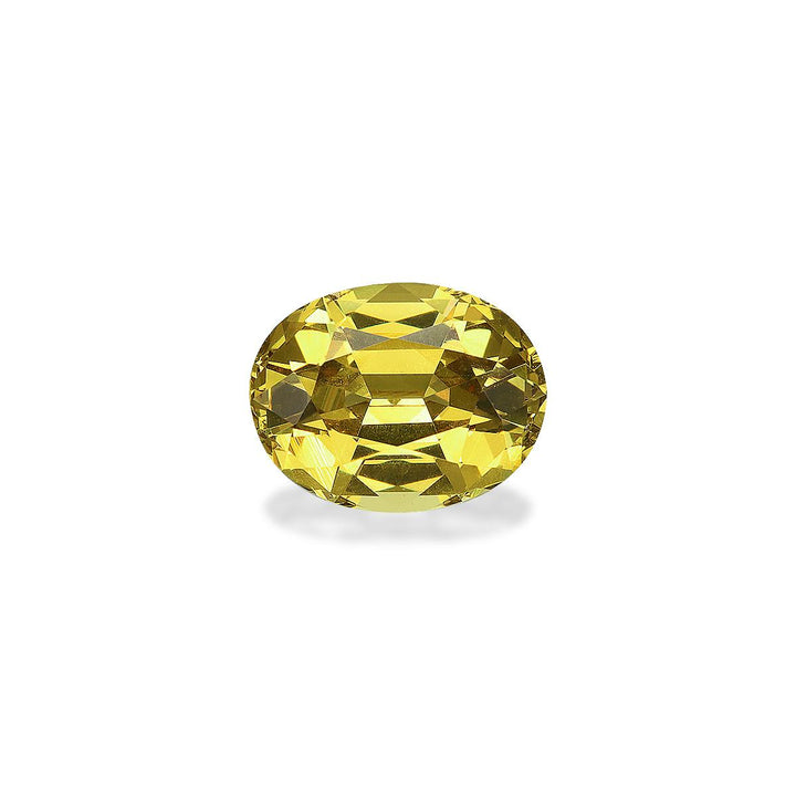 Grossular Garnet 2.63 ct