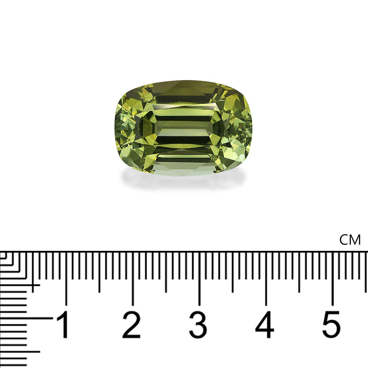 Cuprian Tourmaline 24.28 ct