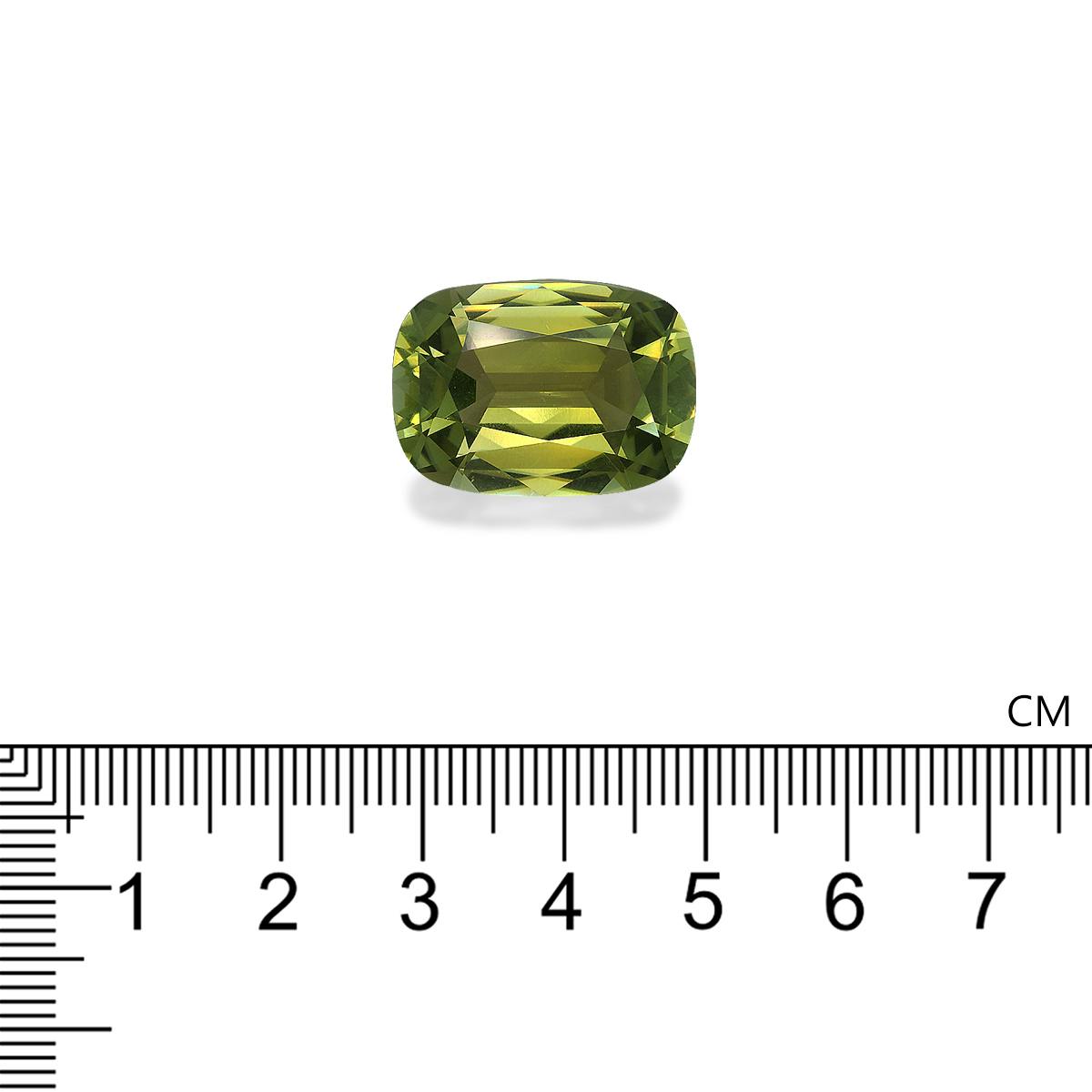 Cuprian Tourmaline 22.12 ct