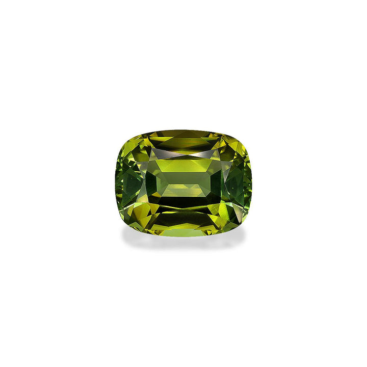 Cuprian Tourmaline 41.95 ct