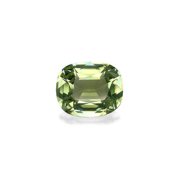 Cuprian Tourmaline 8.49 ct
