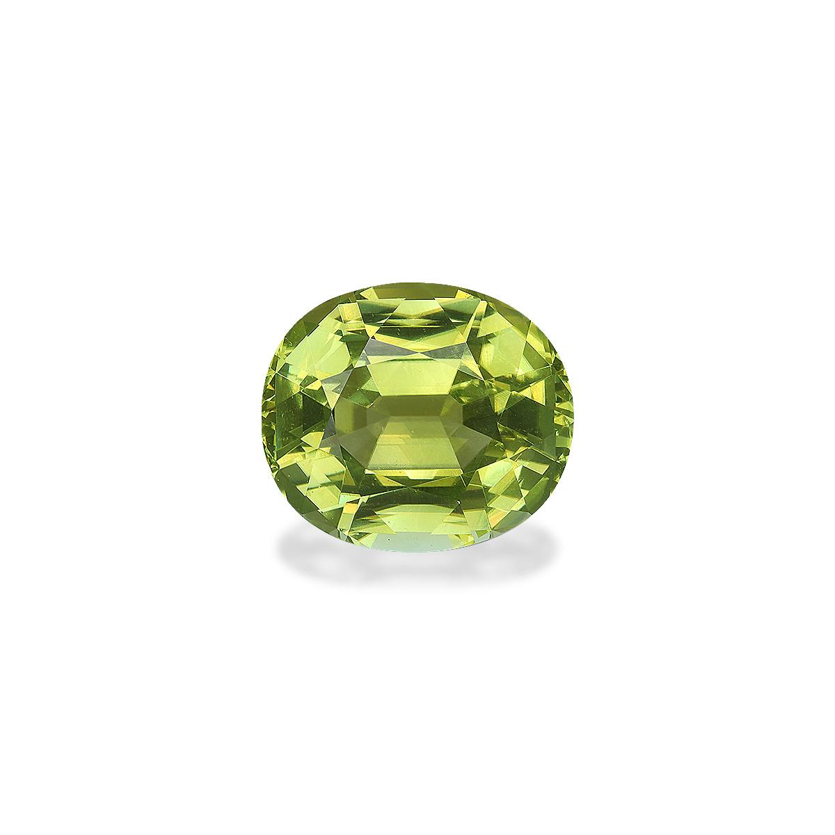 Cuprian Tourmaline 13.63 ct
