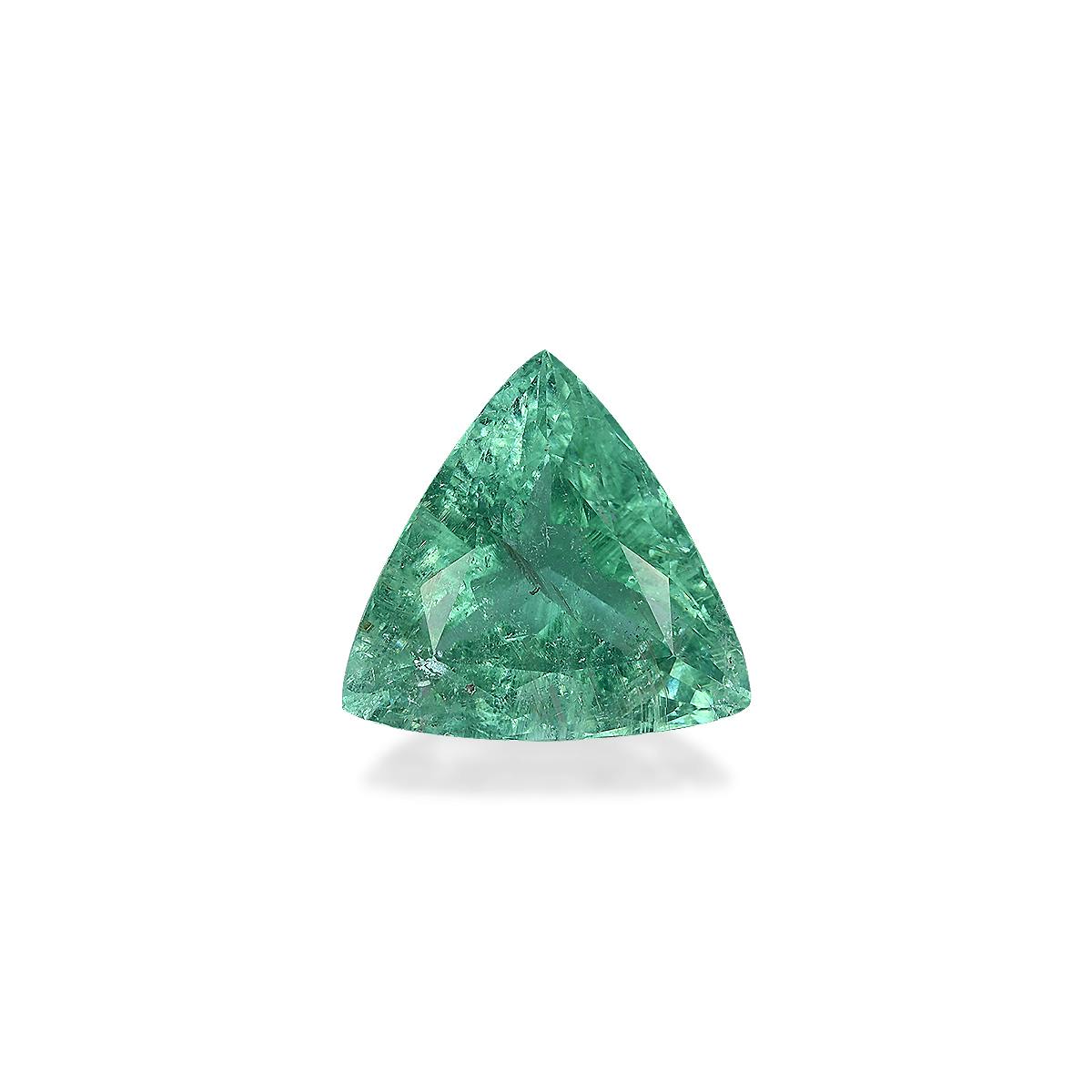 Paraiba Tourmaline 13.54 ct