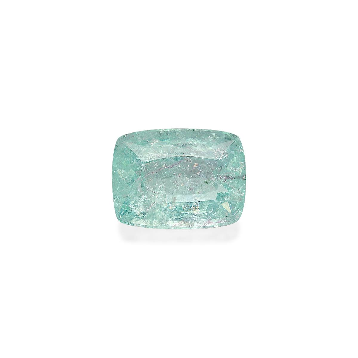 Paraiba Tourmaline 42.01 ct