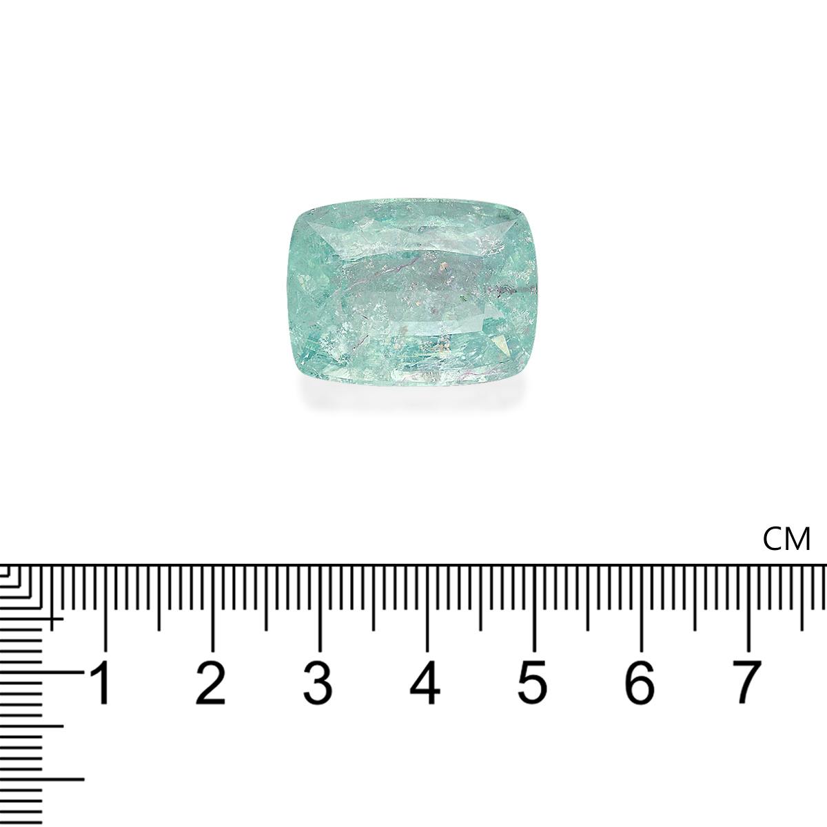 Paraiba Tourmaline 42.01 ct