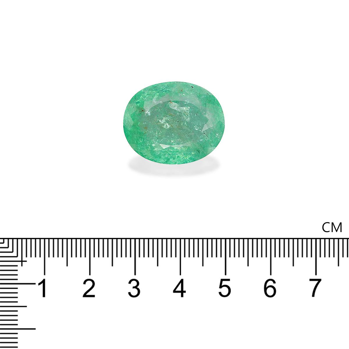 Paraiba Tourmaline 34.99 ct