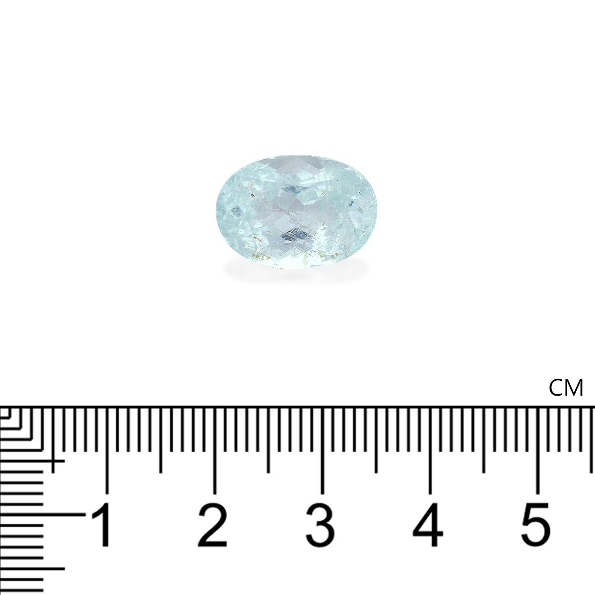 Paraiba Tourmaline 8.80 ct
