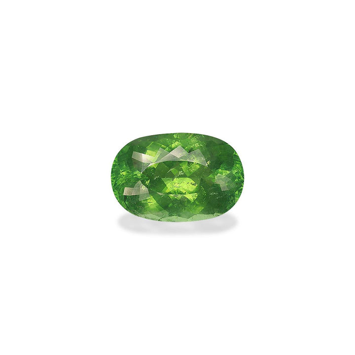Paraiba Tourmaline 20.53 ct