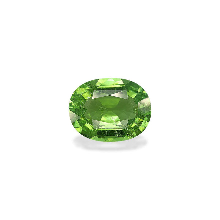 Paraiba Tourmaline 15.88 ct
