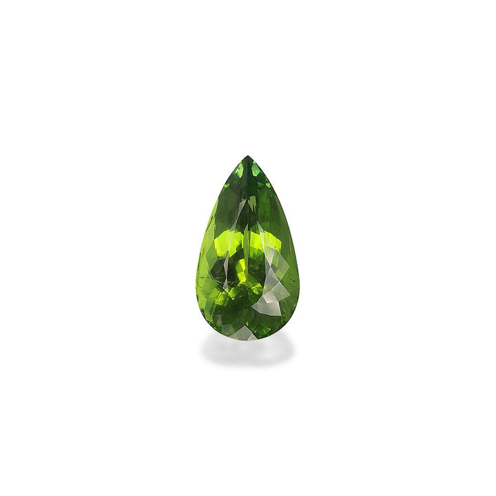 Paraiba Tourmaline 19.12 ct