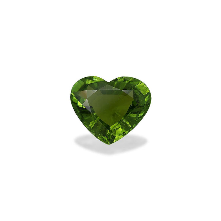 Paraiba Tourmaline 33.03 ct