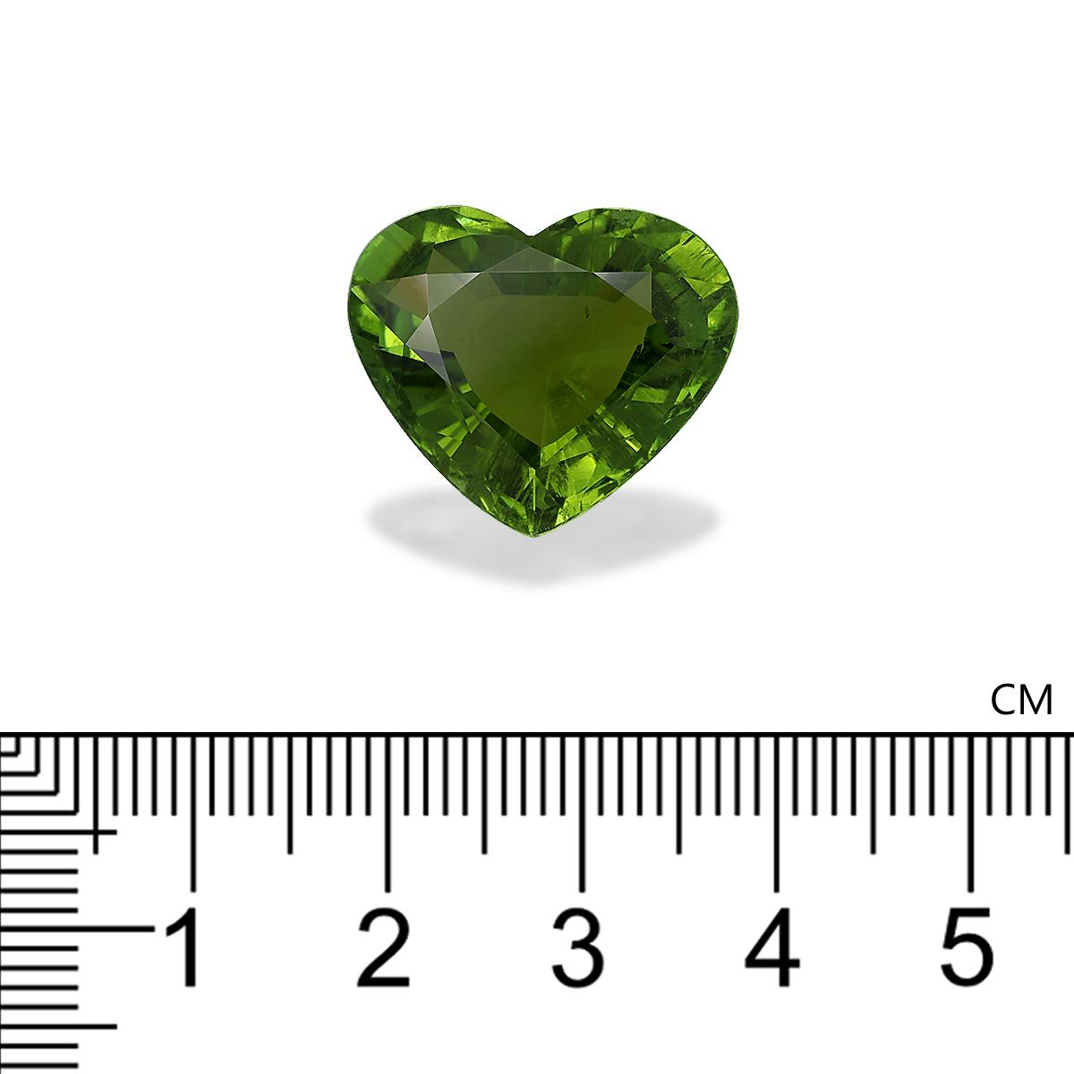 Paraiba Tourmaline 33.03 ct