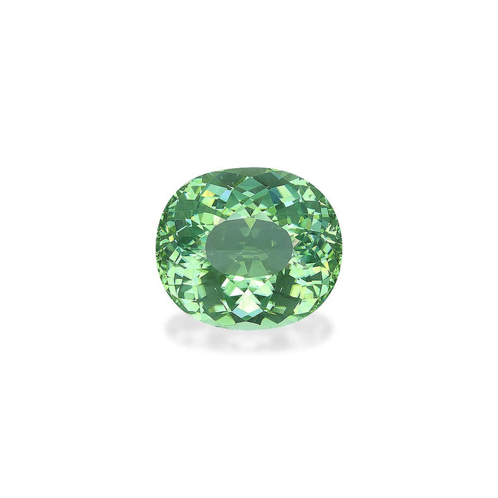Paraiba Tourmaline 30.97 ct