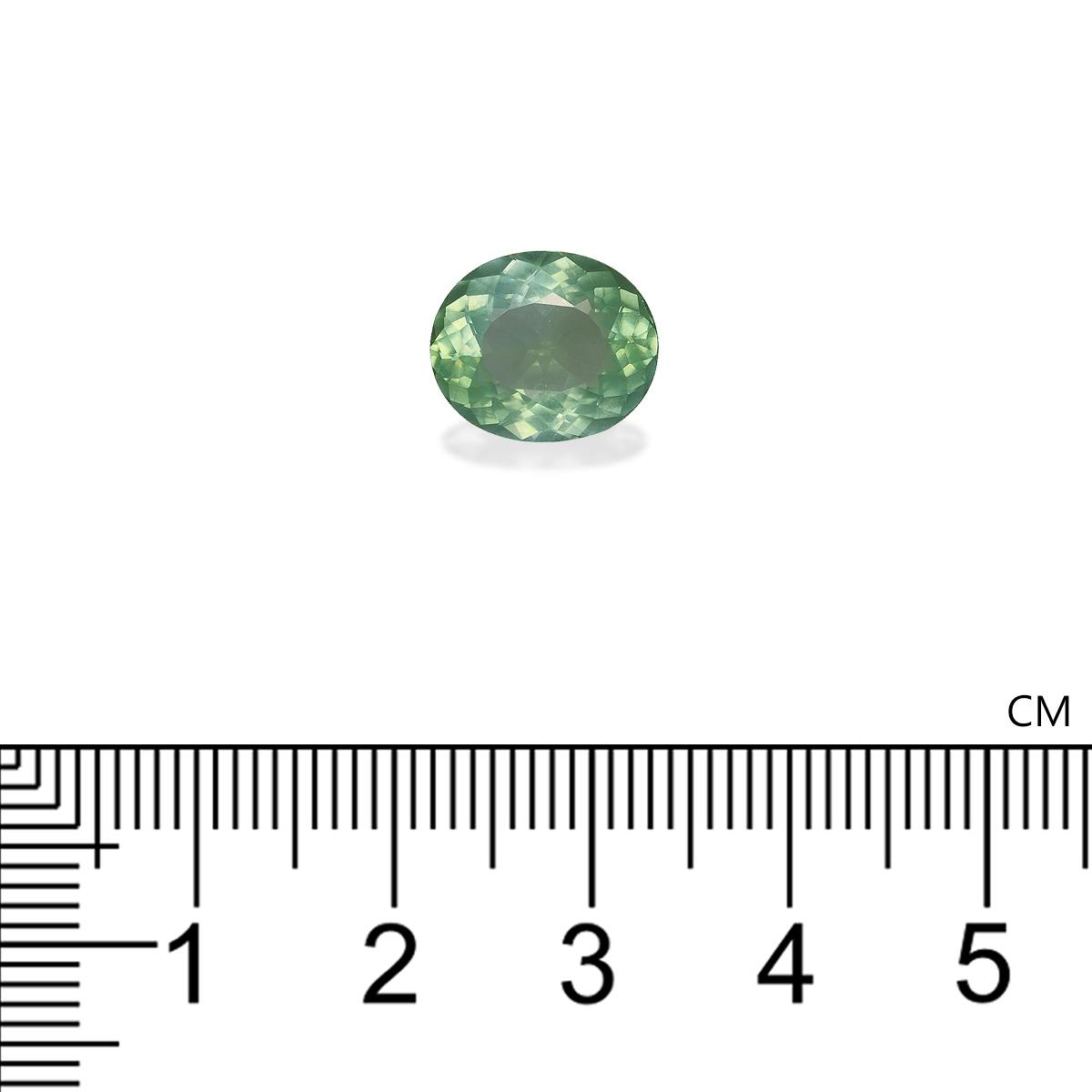 Paraiba Tourmaline 3.87 ct