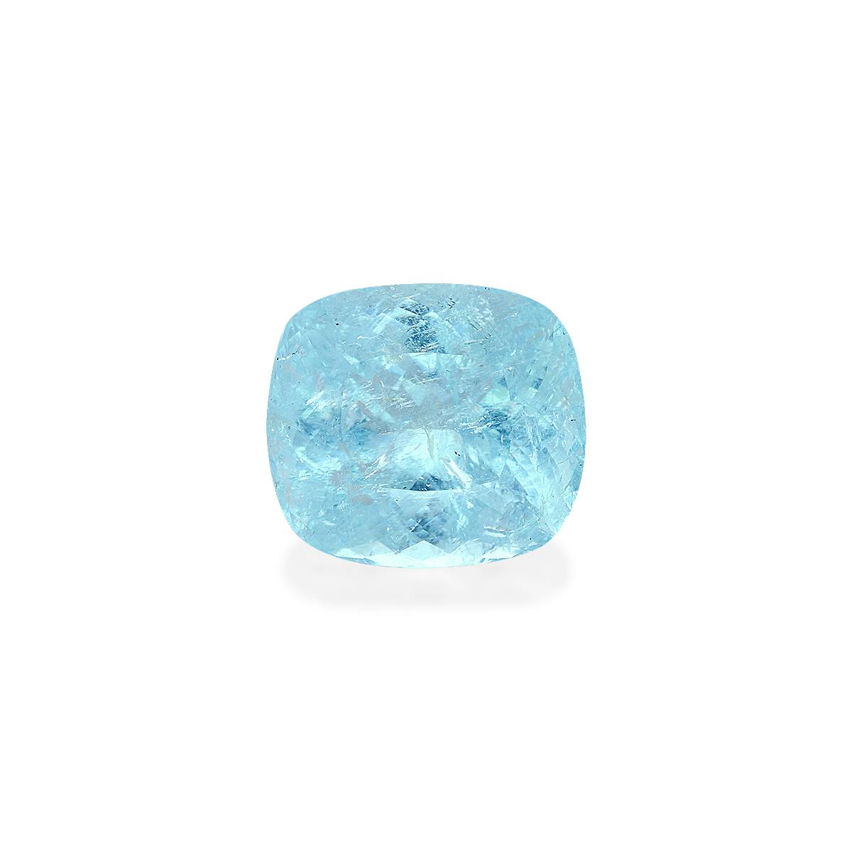 Paraiba Tourmaline 40.61 ct