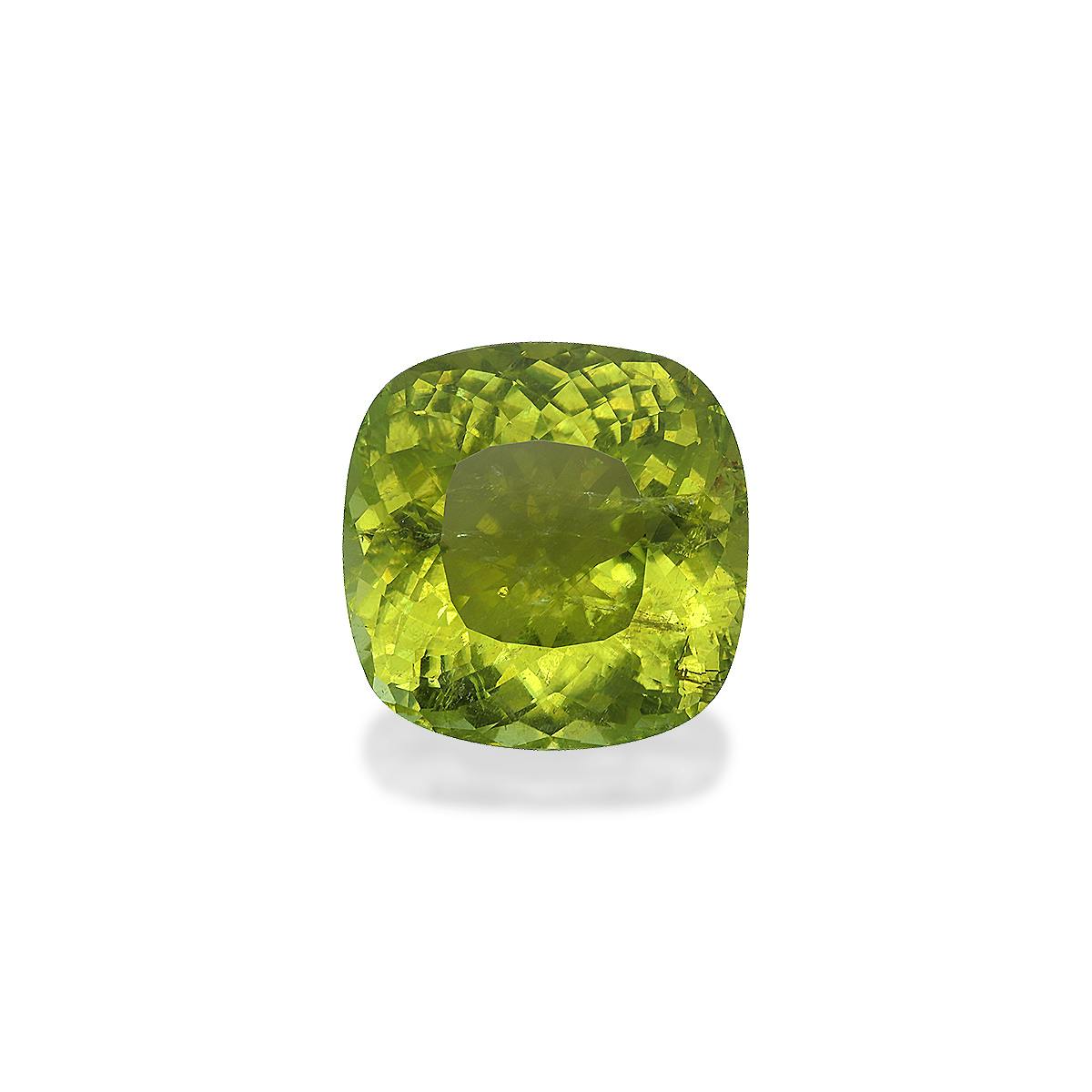 Cuprian Tourmaline 36.91 ct