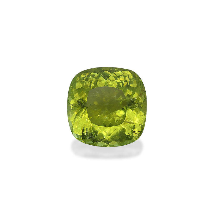 Cuprian Tourmaline 36.91 ct