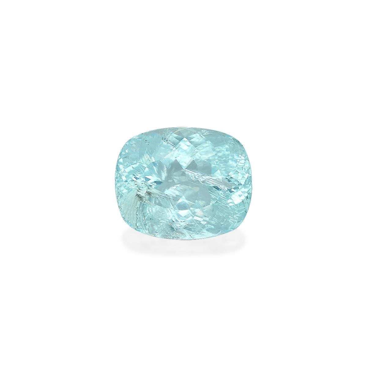 Paraiba Tourmaline 55.51 ct