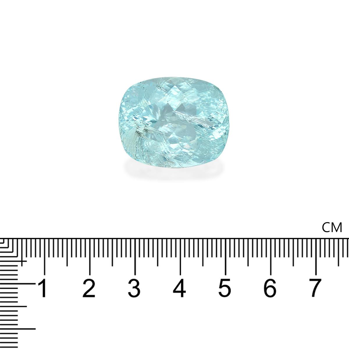 Paraiba Tourmaline 55.51 ct