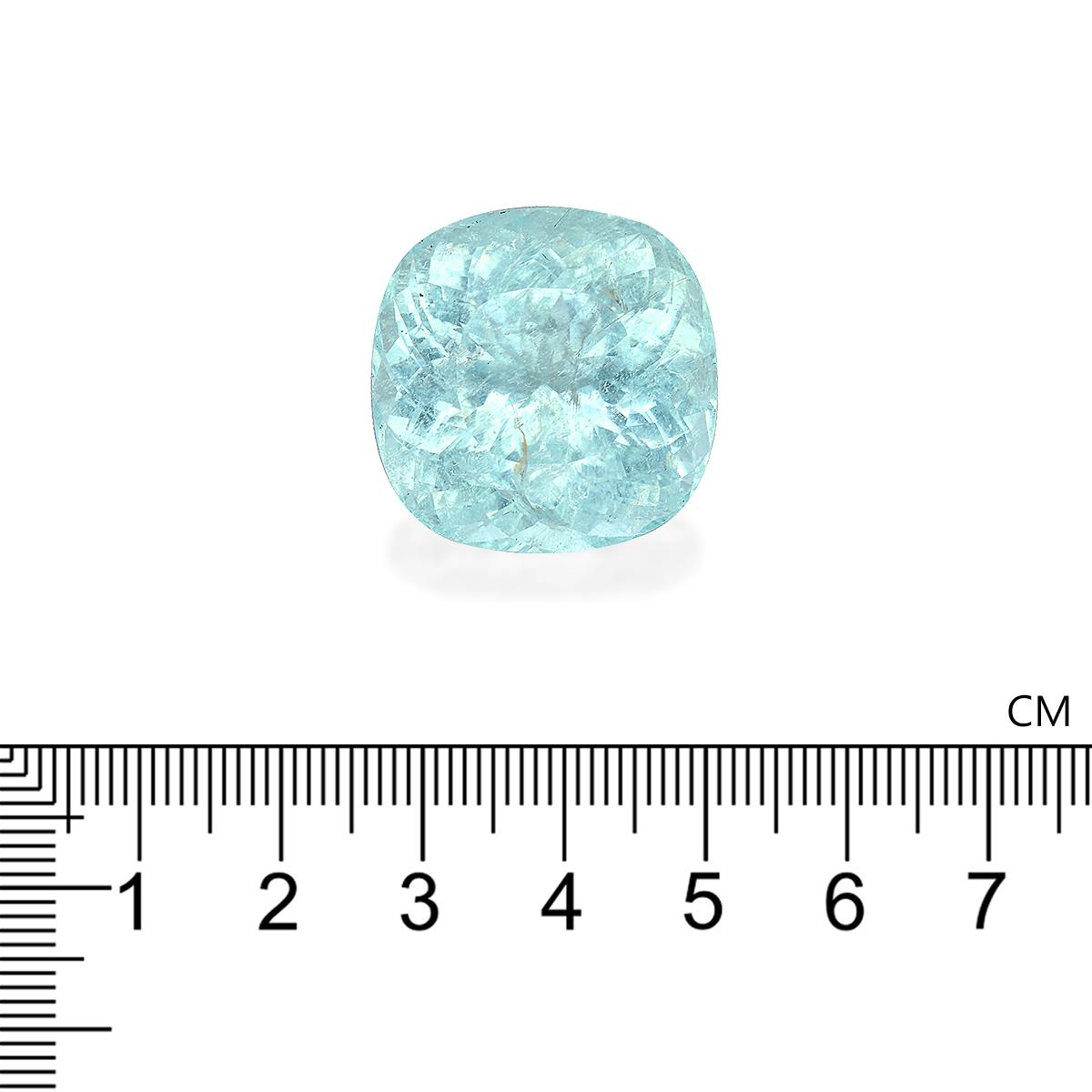 Paraiba Tourmaline 60.44 ct