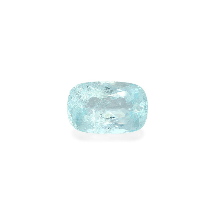 Paraiba Tourmaline 31.90 ct