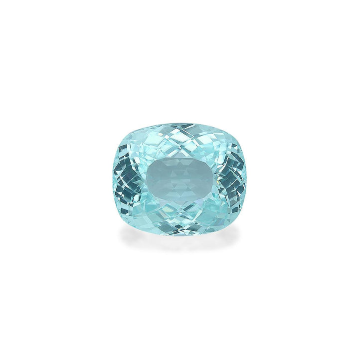 Paraiba Tourmaline 53.19 ct