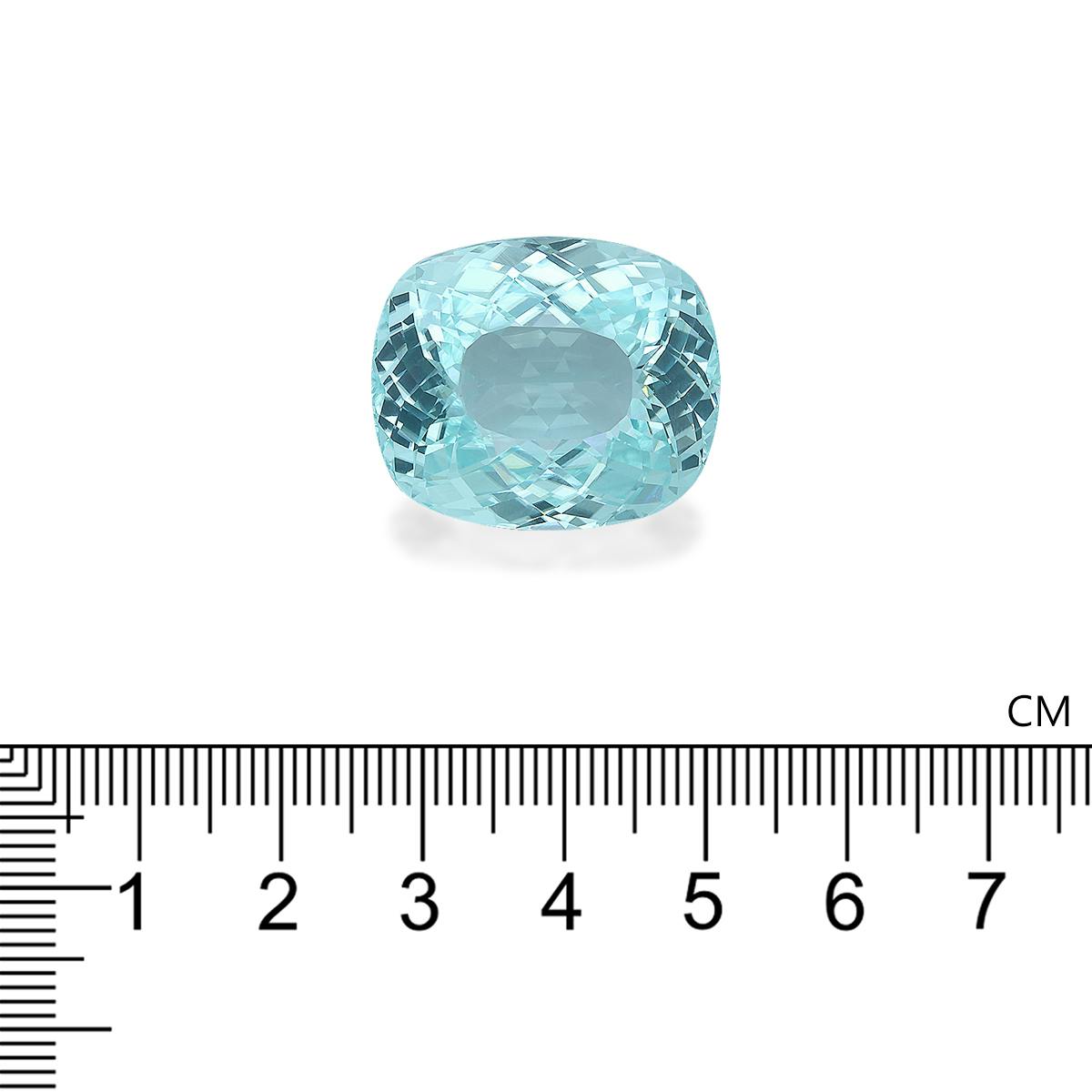 Paraiba Tourmaline 53.19 ct